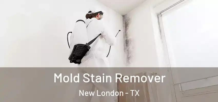  Mold Stain Remover New London - TX
