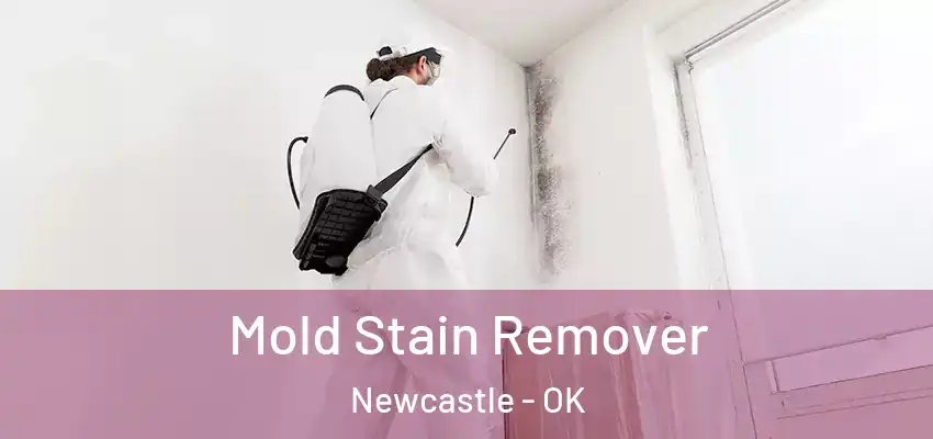 Mold Stain Remover Newcastle - OK