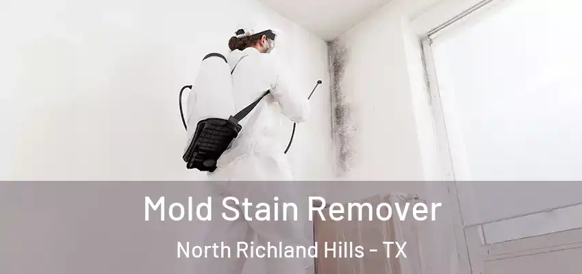Mold Stain Remover North Richland Hills - TX