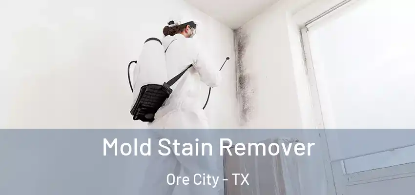  Mold Stain Remover Ore City - TX