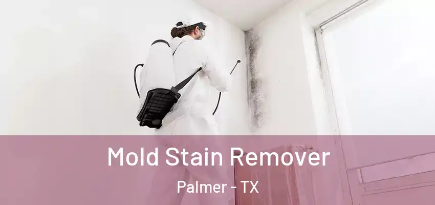  Mold Stain Remover Palmer - TX