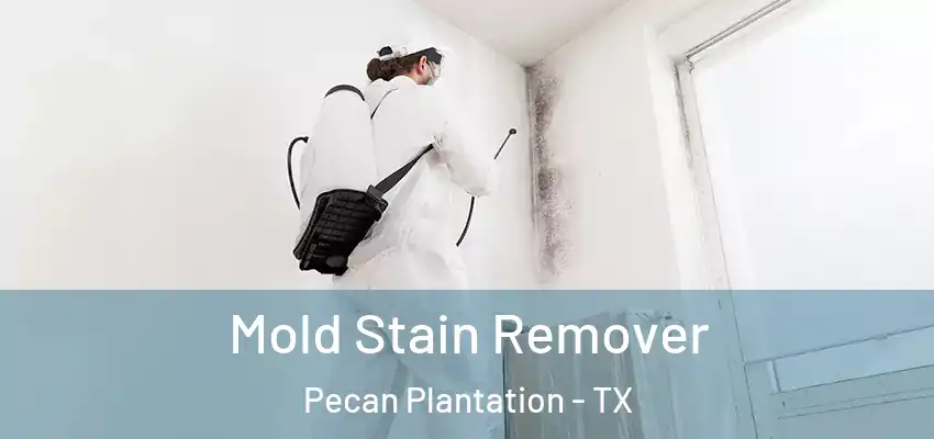 Mold Stain Remover Pecan Plantation - TX
