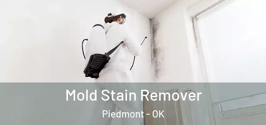  Mold Stain Remover Piedmont - OK