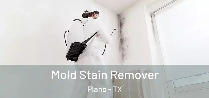 Mold Stain Remover Plano - TX