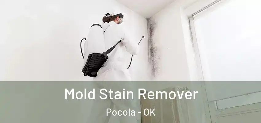  Mold Stain Remover Pocola - OK