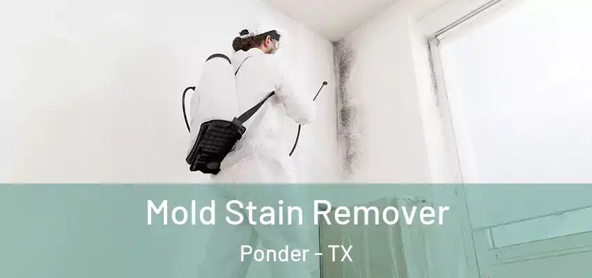  Mold Stain Remover Ponder - TX