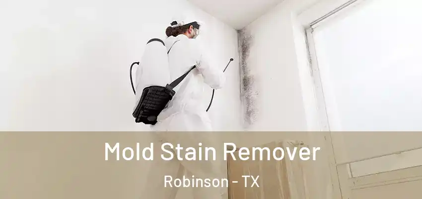 Mold Stain Remover Robinson - TX