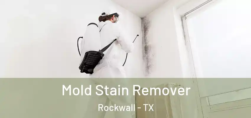 Mold Stain Remover Rockwall - TX