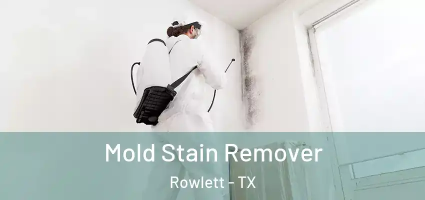  Mold Stain Remover Rowlett - TX