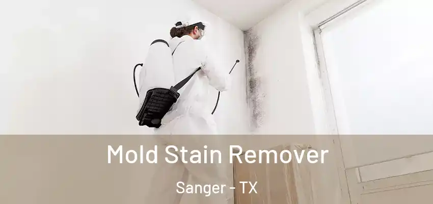  Mold Stain Remover Sanger - TX