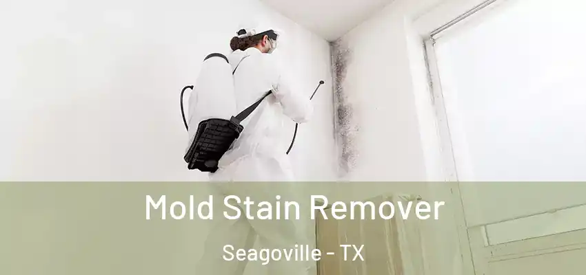  Mold Stain Remover Seagoville - TX