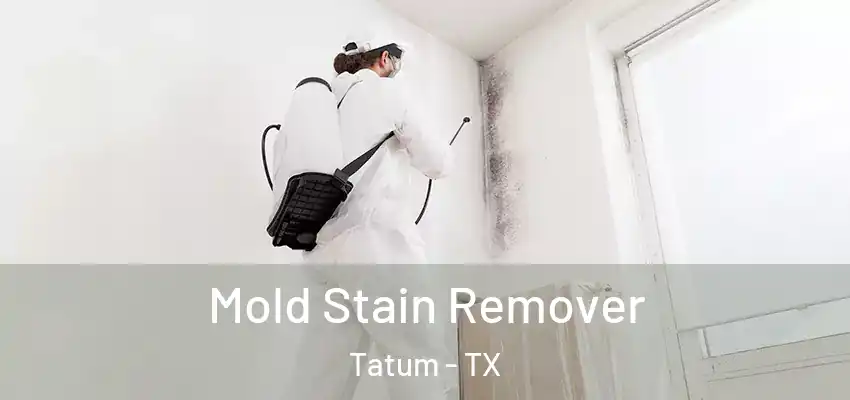 Mold Stain Remover Tatum - TX