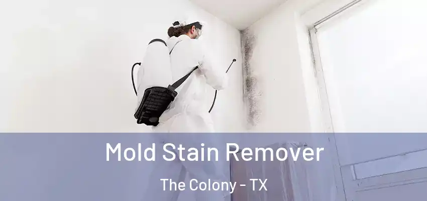  Mold Stain Remover The Colony - TX