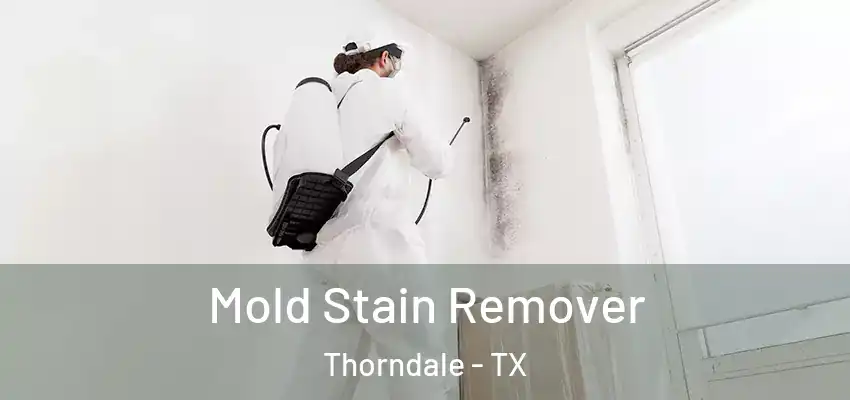 Mold Stain Remover Thorndale - TX