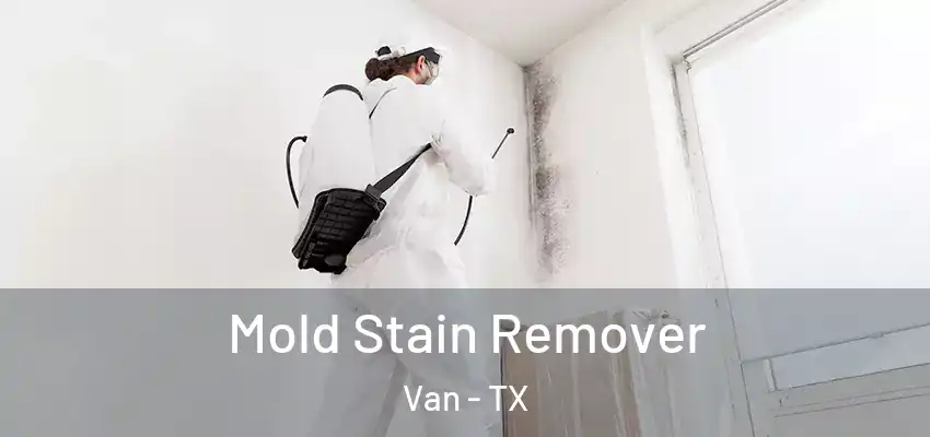 Mold Stain Remover Van - TX