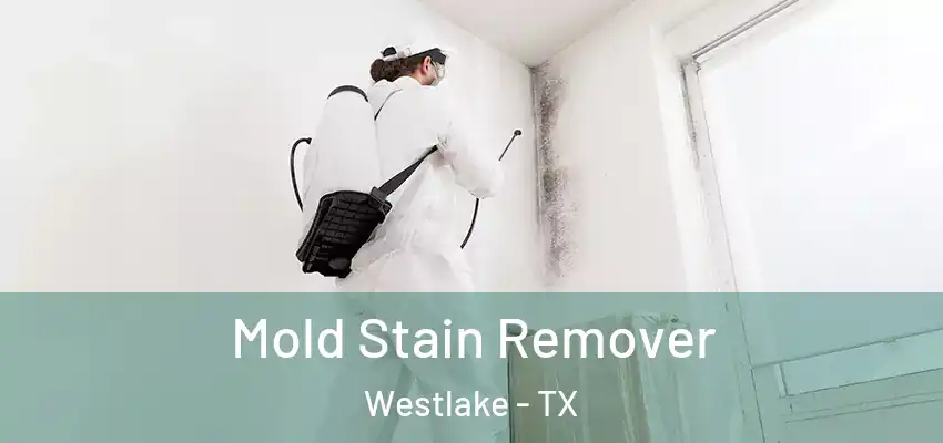  Mold Stain Remover Westlake - TX