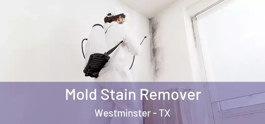  Mold Stain Remover Westminster - TX