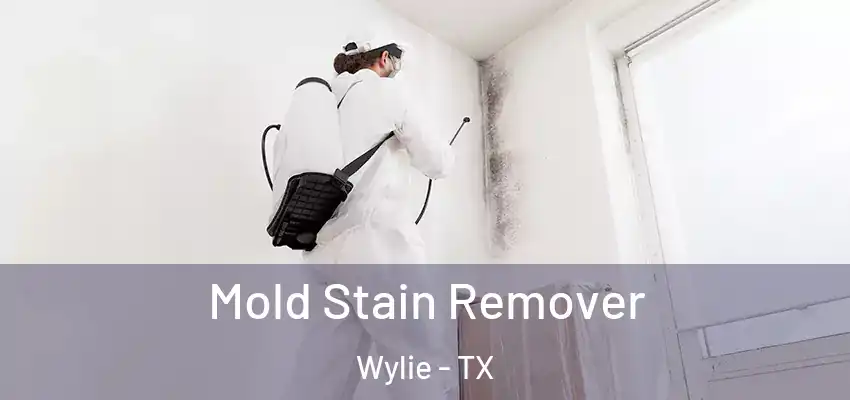 Mold Stain Remover Wylie - TX