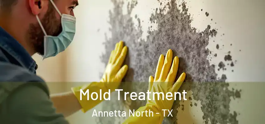  Mold Treatment Annetta North - TX