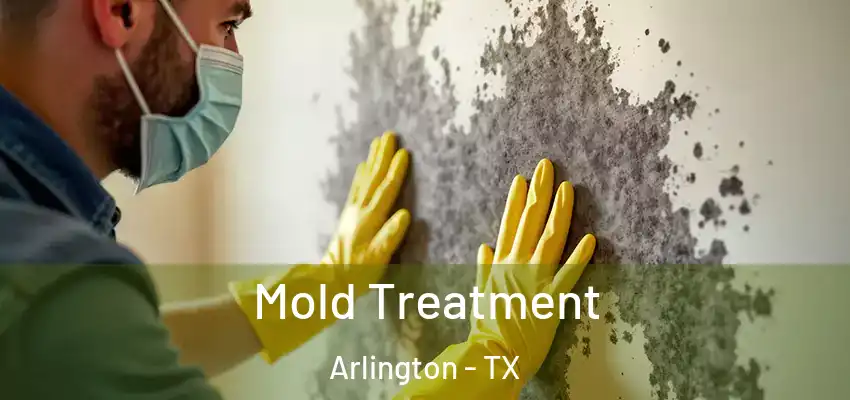  Mold Treatment Arlington - TX