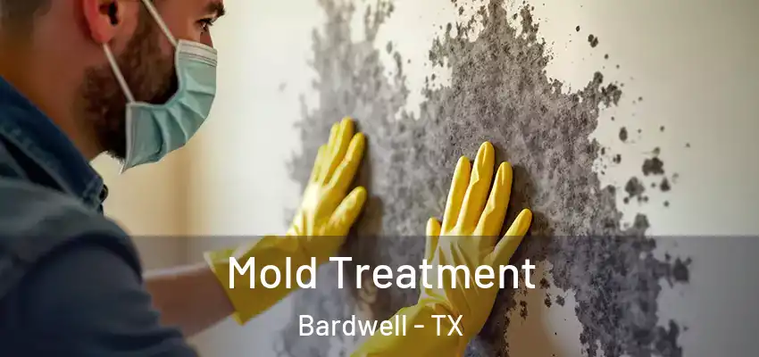  Mold Treatment Bardwell - TX