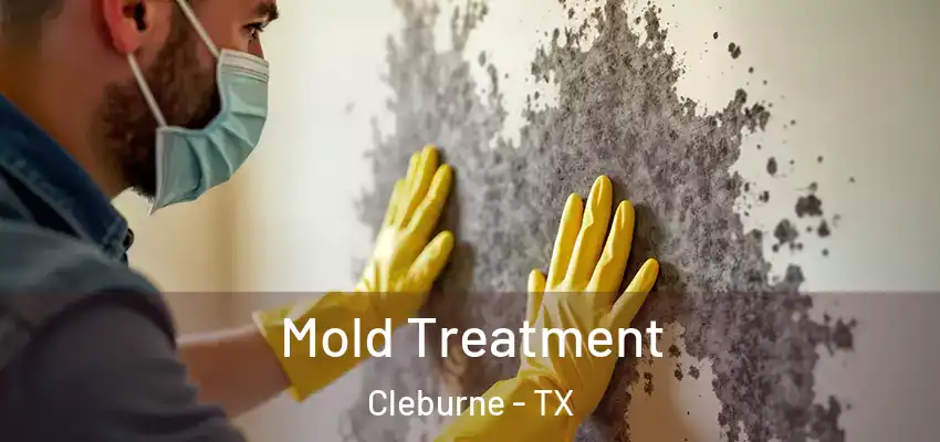  Mold Treatment Cleburne - TX