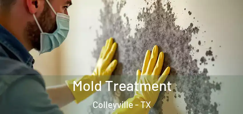  Mold Treatment Colleyville - TX