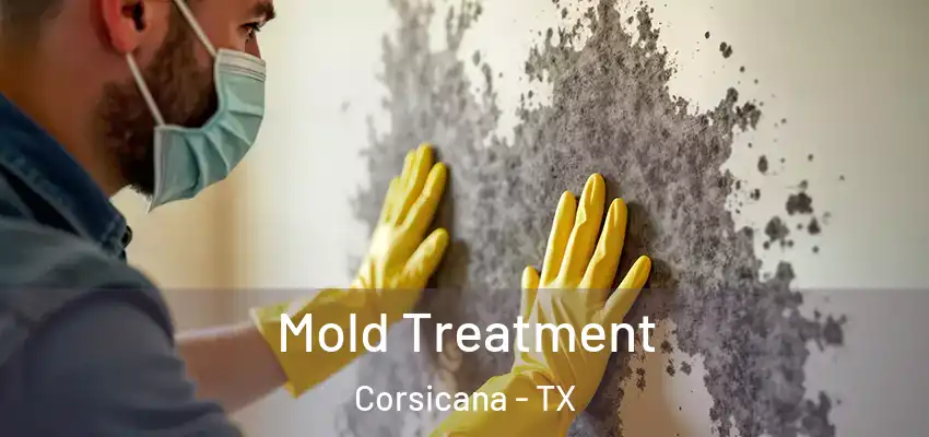 Mold Treatment Corsicana - TX
