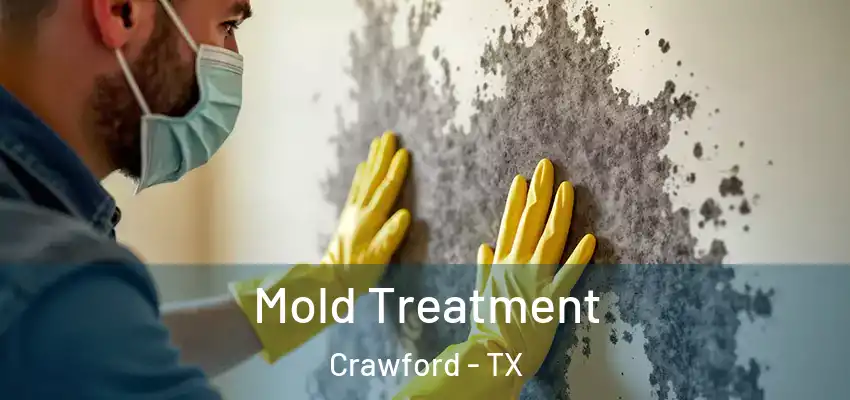 Mold Treatment Crawford - TX