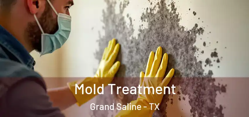  Mold Treatment Grand Saline - TX