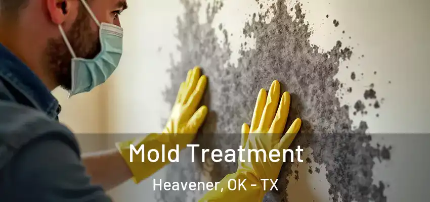 Mold Treatment Heavener, OK - TX