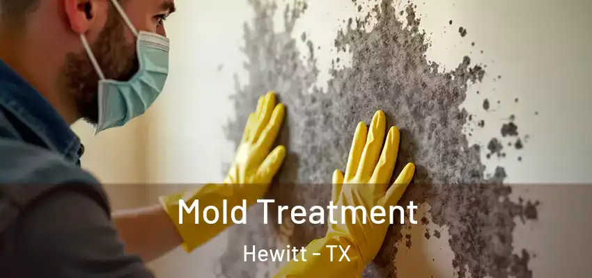 Mold Treatment Hewitt - TX