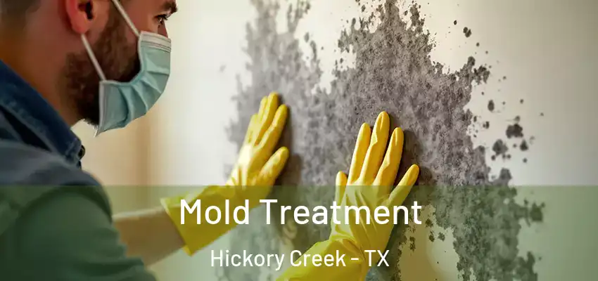 Mold Treatment Hickory Creek - TX