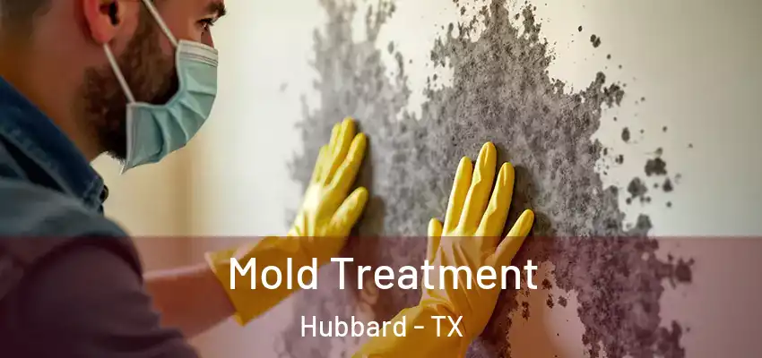  Mold Treatment Hubbard - TX