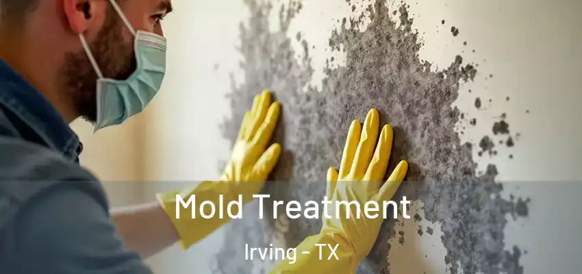 Mold Treatment Irving - TX