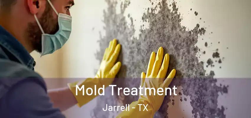  Mold Treatment Jarrell - TX