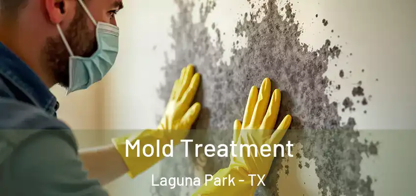  Mold Treatment Laguna Park - TX