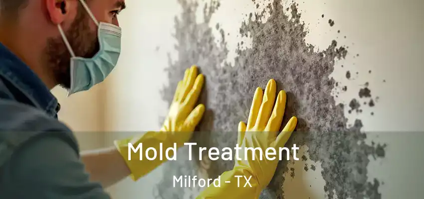 Mold Treatment Milford - TX