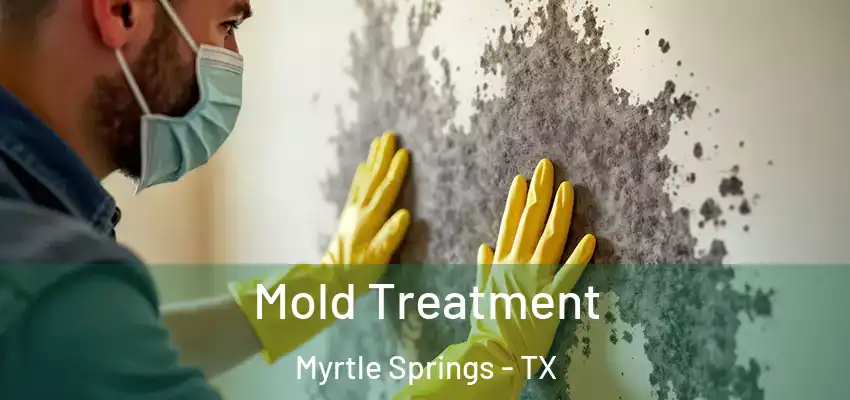  Mold Treatment Myrtle Springs - TX