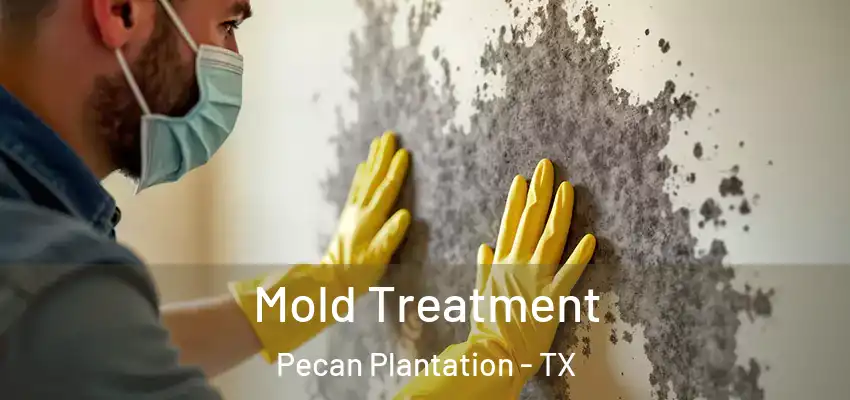  Mold Treatment Pecan Plantation - TX