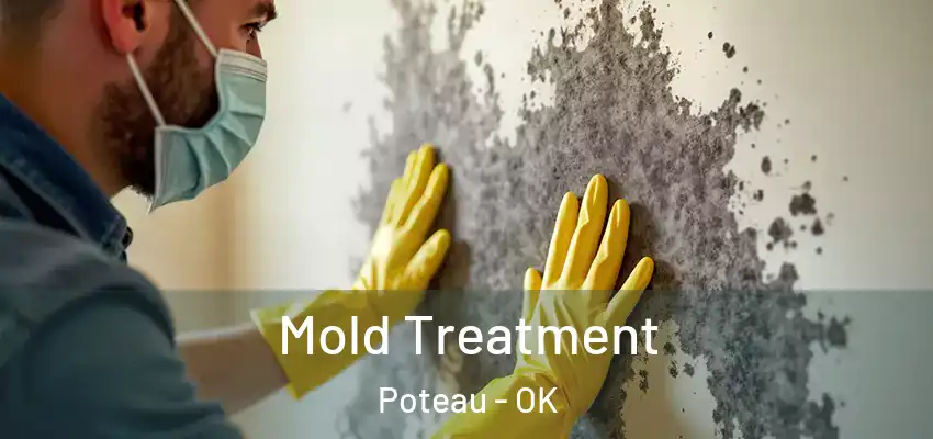  Mold Treatment Poteau - OK