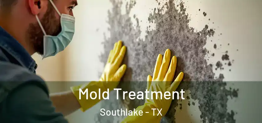  Mold Treatment Southlake - TX