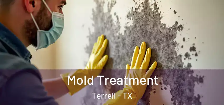  Mold Treatment Terrell - TX
