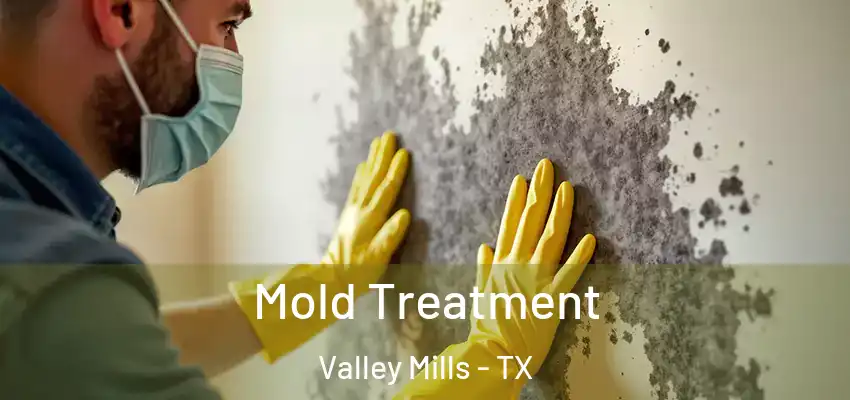 Mold Treatment Valley Mills - TX