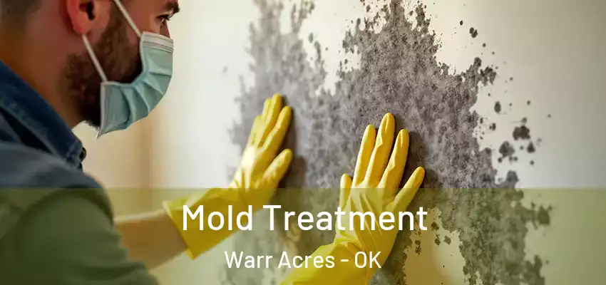  Mold Treatment Warr Acres - OK