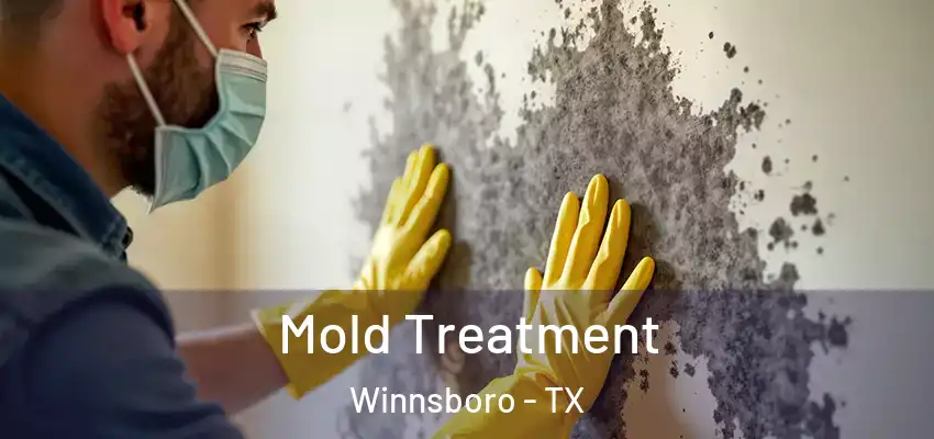  Mold Treatment Winnsboro - TX