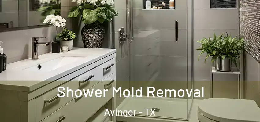 Shower Mold Removal Avinger - TX