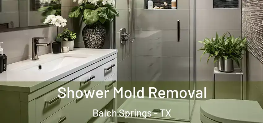 Shower Mold Removal Balch Springs - TX