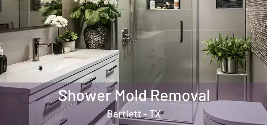 Shower Mold Removal Bartlett - TX