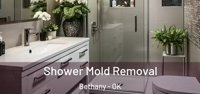  Shower Mold Removal Bethany - OK